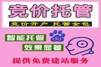 案例解读：竞价代运营如何提升转化率